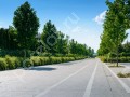 Фотография Жуковка XXI 5