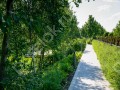 Фотография Жуковка XXI 8