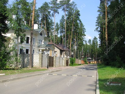 Фотография Дубрава