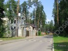Фотография Дубрава