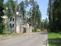 Фотография Дубрава 1