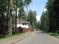Фотография Дубрава 4