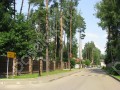 Фотография Дубрава 6