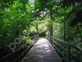 Фотография Дубрава 9