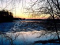 Фотография Дубрава 11