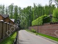 Фотография Солярис 6