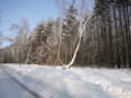 Фотография Солярис 11