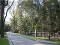 Фотография Лесной ручей 2