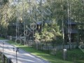 Фотография Лесной ручей 4