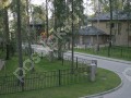 Фотография Лесной ручей 5