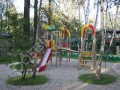 Фотография Лесной ручей 6