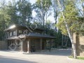Фотография Лесной ручей 7