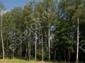 Фотография Новогорск-2 5