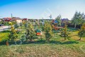 Фотография Ново-Троицкое 11