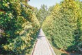Фотография Ново-Троицкое 15