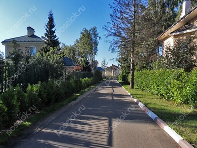 Фотография Светлый