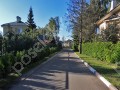 Фотография Светлый 1