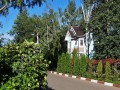 Фотография Светлый 2