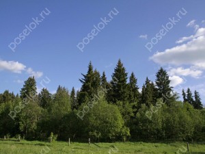 Земельный участок