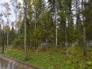 Земельный участок