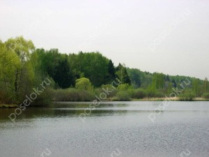 Земельный участок