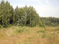 Фотография Волжские просторы 2