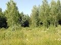 Фотография Волжские просторы 3