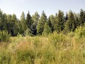 Фотография Волжские просторы 5