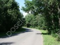 Фотография Дубна Ривер Клаб 4
