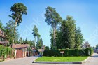 Фотография Лесной простор-3