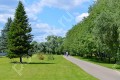 Фотография Пансионат Петрово-Дальнее 12
