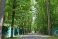 Фотография Пансионат Петрово-Дальнее 13