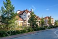Фотография Крона 13