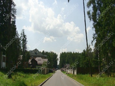 Фотография Лесные Зори