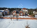 Фотография Лес ДСК (Шульгино) 1