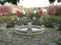 Фотография Лес ДСК (Шульгино) 3