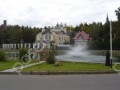 Фотография Лес ДСК (Шульгино) 5