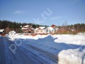 Фотография Лес ДСК (Шульгино) 8