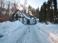Фотография Лес ДСК (Шульгино) 12