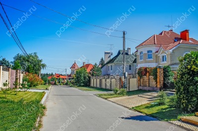 Фотография Шишкин лес