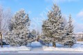 Фотография Графские пруды 6