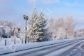 Фотография Графские пруды 7