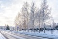 Фотография Графские пруды 8