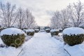 Фотография Графские пруды 12