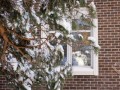 Фотография Английский поселок ( КП Новое Лапино) 4
