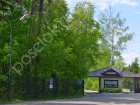 Фотография Хвойный