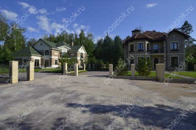 Фотография Лесной простор премиум