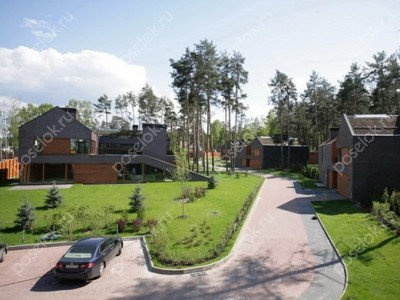 Фотография Evergreen