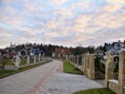 Фотография Успенский Лес