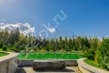Фотография Азарово (Лесное Лапино) 10